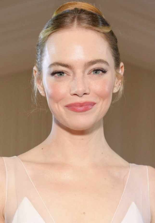 Emma Stone's 2022 MET Gala Makeup – Filter Famous